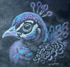 Baby Peacock #2