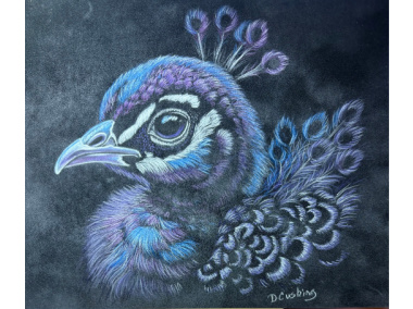 Baby Peacock #2
