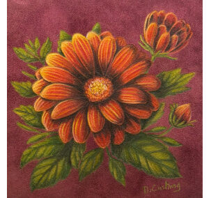 Daisy in Orange