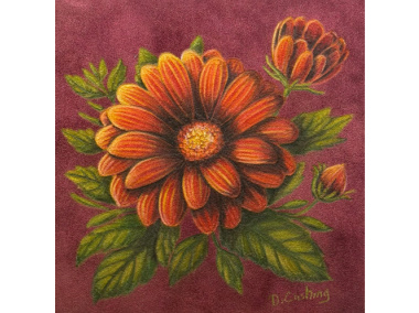 Daisy in Orange